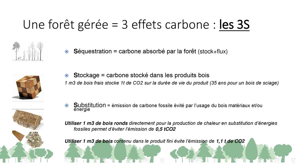 Forêts et changements climatiques ppt télécharger